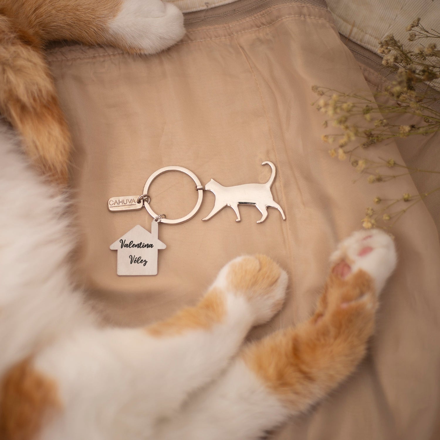 Animales